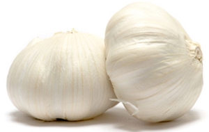 ยาปลุกเซ็กส์garlic